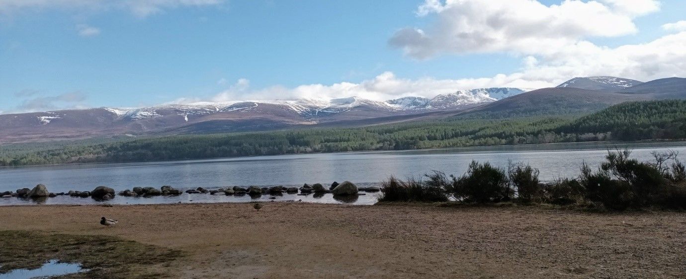 View of the loch beach